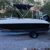 Bayliner element