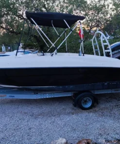 Bayliner element